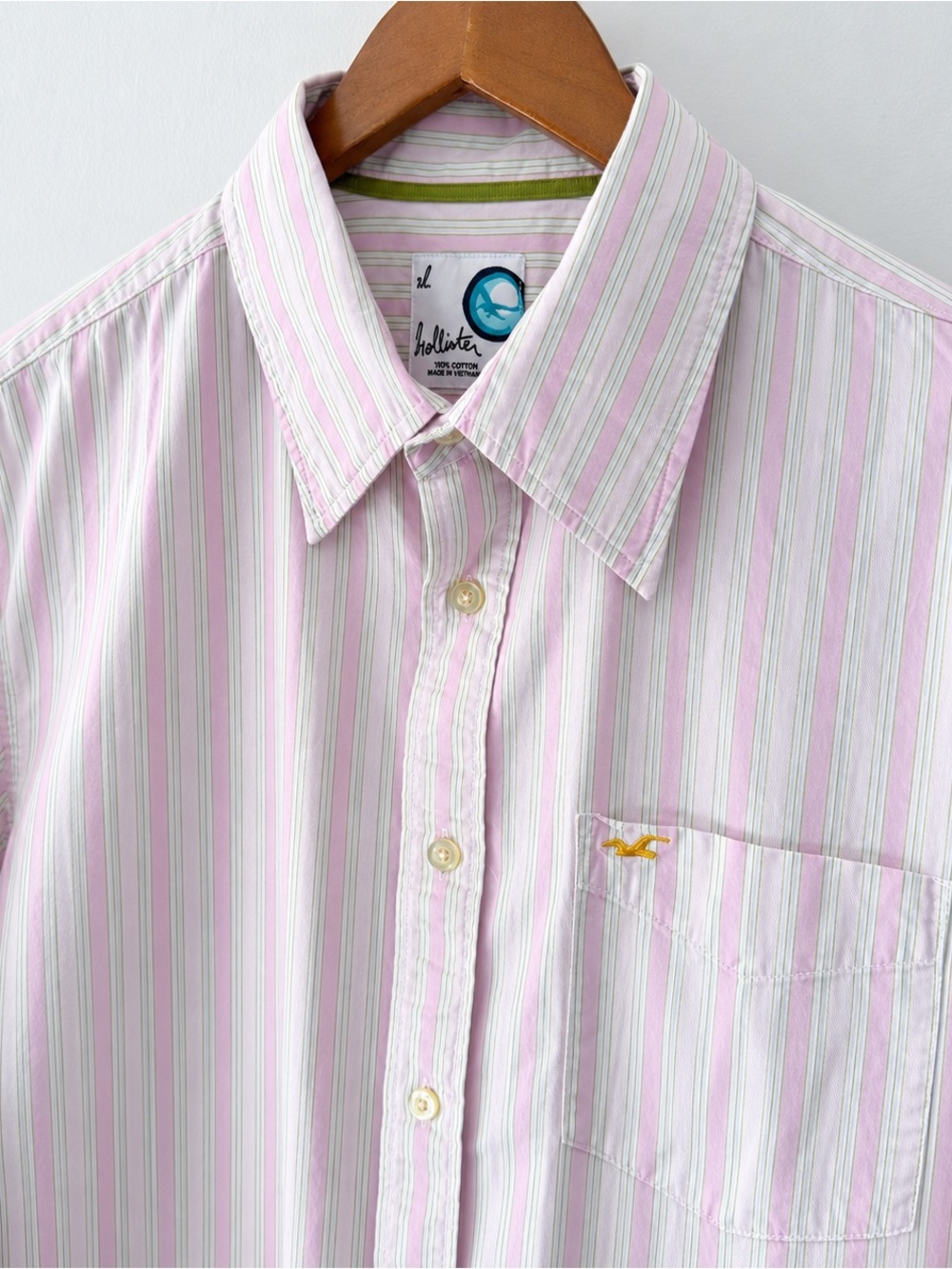 Vintage Hollister Striped Button Down Shirt Pink Green Y2K Preppy Men’s Large
